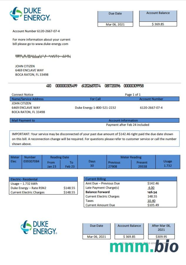 USA North Carolina Duke Energy rachunek za media szablon w formacie Word i PDF